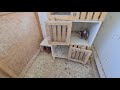 Small Pigeon Breeding Loft Progress