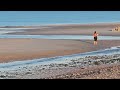 Sandy Neck beach at low tide