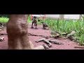 (ZillaFilms) Jurassic Park: Isolation(Fanfilm Official Trailer 2)