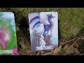 ✨️PICK A CARD 🐉 Woodland Storm Dragon Reading 🌳🌩️🐉 Pick a Card | Dragon Wisdom Oracle