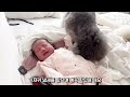 How dogs soothe a crying baby