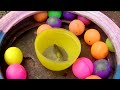 Colorful surprise eggs lobster snake cichlid betta fish turtle butterfly fish goby fish