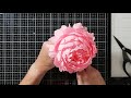 Crepe Paper Peony/Peonies