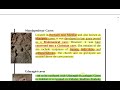 Lecture 23 complete Art and Culture (Nitin Singhania ) Bagh caves Nasik caves