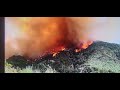 trabuco canyon California wildlife