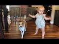 Baby’s first time walking- adorable baby girl