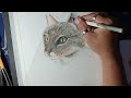 color pencil and soft pastel portrait/cat drawing/ step by step drawing process/