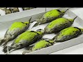 Why Over 600,000 Bird Specimens Are Preserved At The Smithsonian | Colossal Collections