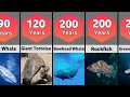 How Long Animals Live: Lifespans of Animals (Lowest to Highest)