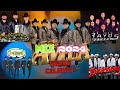 Lo Mas Nuevo Tierra Caliente 5 Mix 2024  Exitos de Los Players • Tierra Cali • La Dinastia