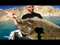 Catalina Island Fishing! (Halibut Catch, Clean and Cook)