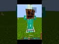 Minecraft tiktok hacks #minecraft  #shorts