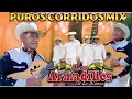 Dueto Bertin y Lalo vs Los Armadillos de la Sierra - Puros Corridos de Oro -30 Exitos Mix Pá Pistear