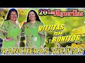 Las Jilguerillas Mix Corridos y Rancheras - 20 Exitos Inmortales Pá Pistear - Viejitas Pero Bonitos