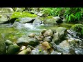 Water Sounds | Nature Sounds - Forest Birdsong | Relaxing Bird Sounds for Sleep, Relax, Meditation