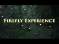 Firefly Experience - Summer Night with Fireflies (Lightning Bugs)