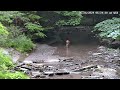 Two Fawns and their Mother playing in the Creek - Forestville, New York, USA #sparescreenfornature