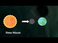 Phases of the Moon | Learn all about the moon for kids!