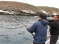 Challengers Angling Club July Charter on the Truline!