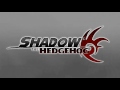 Chosen One (Looped) - Shadow the Hedgehog Music Extended