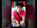 5¢ & 25¢ bayad sa akin Ng pasahero 🤣🤣 #vudeo #videos #funny