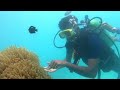 scuba diving in Andaman