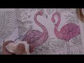 Coloring Flamingos with Derwent Watercolour Pencils - PencilStash Adult Coloring Tutorial