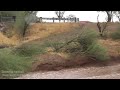 7/31/2023 Mammoth, AZ - Strong DOWNBURST & FLASH FLOODING In Town + TREES DOWN