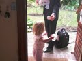 Hannah greets daddy coming home from work