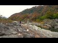 Autumn Leaves at Nagatoro River Chichibu Japan | November 2022