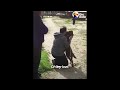 Dog Reunited with Owner Slowly Recognizes Dad After Years in Shelter | The Dodo