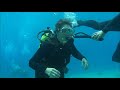 Scuba Diving at Dolphin Reef Eilat - June 2016