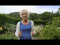 Carol Klein’s Plant Odyssey - Roses