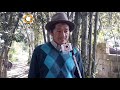 Don José Lino Galsaqui, desde hace 16 años atrás se dedica al cultivo de mora orgánico.