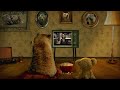 Watching TV  --LoFi Style--  Watch the tv In 4K