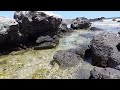 Tidal rock pools