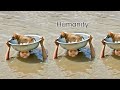 Humanity-viral