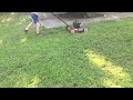 Mowing tall grass with the scrap machine