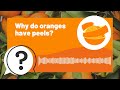 But Why Kids | Why do oranges have peels? | Full Podcast Episode