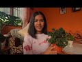 PEPEROMIA  PLANT CARE        #peperomia