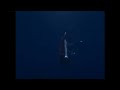 1995 Titanic sinking animation but slightly slower with sounds