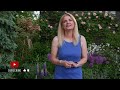 Creating a Romantic English Garden Border | Garden with Marta