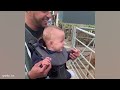 Baby Dolphin Saying Hello to Little Girl 🤣 Funny Animal 2024