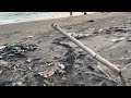 Pantai Pancer Puger Kok Sepi 2024!.
