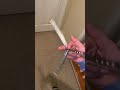 Scissoring 1-5 (balisong flips)