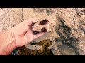 Making A Tidepool Aquarium Fishbowl On The Beach