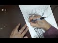 Pen Sketch | How to Draw a Tree