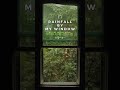 BS.[NATURE ASMR]누구나 듣고싶은 편안한 빗소리_10분힐링_Rainfall by my window_#relax #calmingsounds #rainsounds