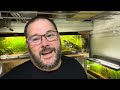 MY DIRTED FILTERLESS FISH ROOM TOUR …NOVEMBER 2023 #fishroomtour #fish #fishroom #aquariumfun