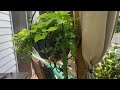 How to add irrigation system installed from the water spigot